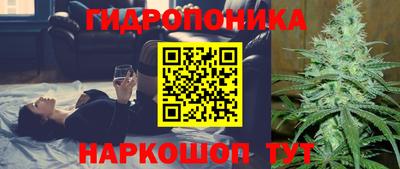 гашик Заводоуковск